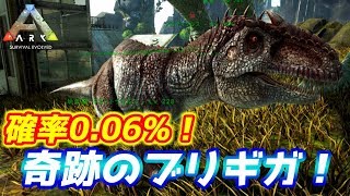 奇跡の確率「0.06%」を引き当てた「ブリギガ」【ギガノトサウルス】【Ark: Survival Evolved】【ARK：Extinction】