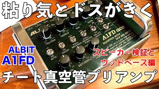 【ALBIT プリアンプ】  A1FD pro/aco スピーカー検証とウッドベース編 K\u0026K BIGTWIN・MSPピックアップ