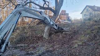 Baumentfernung mittels Skidder und Bagger