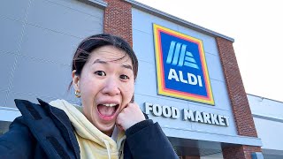 Let's go to Aldi for the first time after the snow storm!