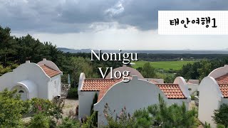 노니구 vlog | 태안 1박2일, 셀프 웨딩 촬영 장소, 노니구 여름의 끝자락 태안여행, 텅커피, 태안 숙소공유