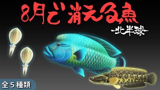 【あつ森】8月で消える魚を全て紹介！魚影や出現時間・条件・値段・釣り方のコツも徹底解説！ナポレオンフィッシュやライギョなどレアな魚を効率よく釣り上げる方法【あつまれどうぶつの森　8月魚図鑑コンプ】