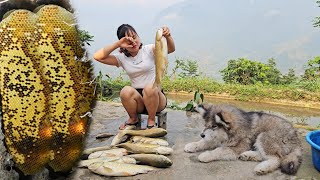 A sad morning (dead fish). Collect more honey bee hives and how Binh makes a bee container