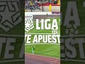 😮Paolo Guerrero no quiso entrar al partido contra Alianza Lima #liga1teapuesto