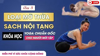 BÀI 3: Bài tập Yoga chuẩn gốc cho người mới tập _ Loại mỡ thừa sạch nội tạng / Nguyễn Hiếu Yoga