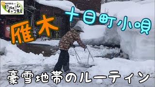 雁木と雪のトンネルと十日町小歌について話しました〜豪雪地帯のルーティン【25日目】2021年2月8日（月）