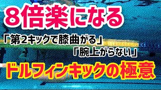 【動画解説】今より8倍楽に泳げる！ドルフィンキックの極意はアレをしないこと