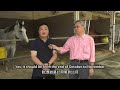 Selangor Turf Club New Trainer: Ricky Choi From Hong Kong