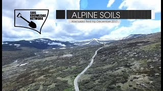 SKN Alpine Soils