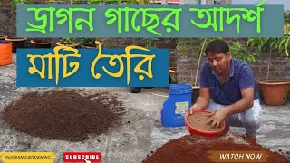 ড্রাগন গাছের জন্য আদর্শ মাটি তৈরি How to prepare perfect soil for Dragon fruit on rooftop