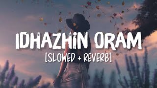 Idhazhin Oram [Slowed+Reverb] Song Lyrics | Ajeesh, Anirudh Ravichander