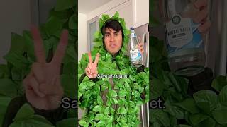 Different water drinkers be likeβ¦ π
ππ #shorts #funny #comedy #water #drink #sparkle #coconut