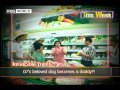 [This Week] KBS World TV Highlights (2010.08.16~ 08.22)