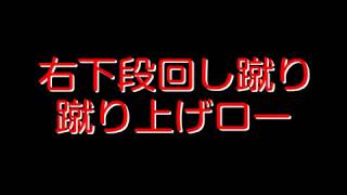 右下段回し蹴り（蹴り上げ）【カラテ相対軸の発見】 Sotaijiku \