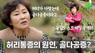 골다공증을 극복한 건강인의 식단부터 운동법까지 공개! MBN 231116 방송