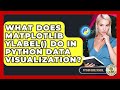 What Does Matplotlib Ylabel() Do In Python Data Visualization? - Python Code School