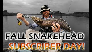 Fall Snakehead Tactics and Subscriber Day! Maryland Snakehead Fishing Tips; Maryland Fishing 2020