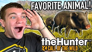 COOLEST ANIMAL IN MEXICO!!! Hunter Call of the Wild Ep.34 - Kendall Gray