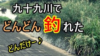 九十九川でどんどん釣れた。どんだけ釣れるかお楽しみ♪【東松山市】