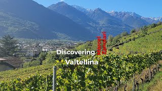 Valtellina Valley Italy, a Bio dynamic winery featuring Marcel Zanolari