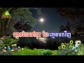 ចំណោទស្នេហ៍ ភ្លេងសុទ្ធ បទស្រី chom naot sne pleng sot rpmdoul ktv