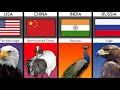 National Bird From Different Countries