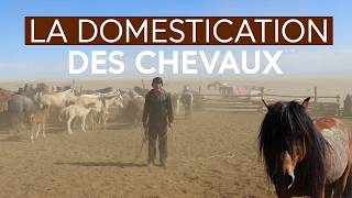 La conquête du cheval : un voyage génétique à travers le temps