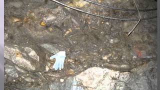 Geology of the Ruby Tertiary Channel, Sierra