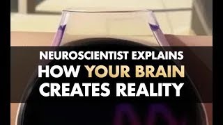 How Your Brain Creates Reality (updated)