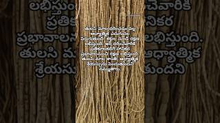 తులసి మాల ధరించడం వల్ల కలిగే ప్రయోజనాలు..🙏 #tulasi #tulasimala #shortvideo #harekrishna #devotional