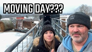 Getting Ready for the BIG MOVE! One Step Closer! | Midwest Homesteading