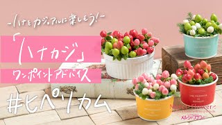 ～ヒペリカム～スーパーのお花を楽しもう！ハナカジ・ワンポイントアドバイス！