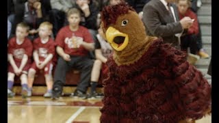 Soar Higher: What Does it Mean to Be a Hawk?