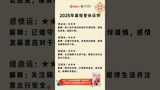 生肖【猴】在2025乙巳年的运势#乙巳蛇年 #2025#2025年蛇年#乙巳年 #蛇 #生肖 #十二生肖蛇年 #猴 #zodiac #蛇年  #2025生肖運勢 #2025zodiac