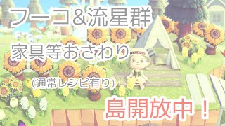 【あつ森】フーコ 流星群 家具おさわり 開放中【ライブ配信】