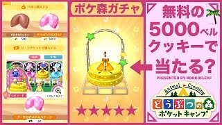 【ポケ森】5000ベルのフォーチュンクッキーから★5家具！【ガチャ】