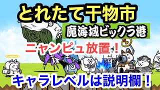 にゃんこ とれたて干物 準備してニャンピュ 魔海域ビックラ港 にゃんこ大戦争 ユーザーランク 17862 キャラレベルは説明欄に