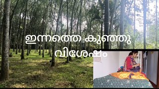 ഇന്നത്തെ വിശേഷം /oru sadharana veettamma