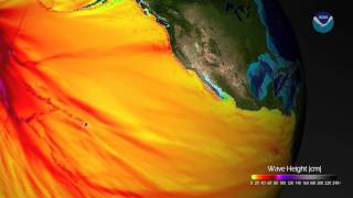 Tsunami Wave Height Model Shows Pacific-Wide Impact