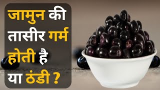 जामुन की तासीर ठंडी या गर्म खाने से पहले जरूर जान ले | Jamun Ki Tasir Thandi Ya Garam | Jamun Fruit