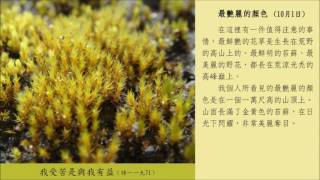 5-5最艷麗的顏色--荒漠甘泉10月1日