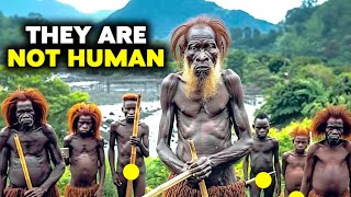 Horrifying Discovery In The Congo That Terrified The World