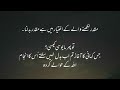 Urdu Quotes That Will Not Let You Give Up | Laila Ayat Ahmad | Most motivational video for you