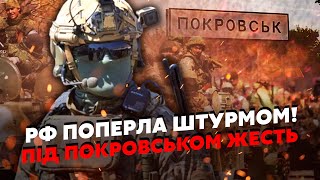 ❗️Екстрено! Заявили про ЗАХОПЛЕННЯ ЗАПОРІЖЖЯ. РФ пруть до ДНІПРА. ЗСУ прихлопнули наступ на ДОНБАСІ