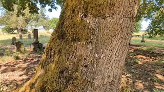 Luper pioneer cemetery 7/ 19/ 2024