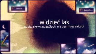 Sennik Las - Odkryj Znaczenie Snów o Lesie | Sennik.biz