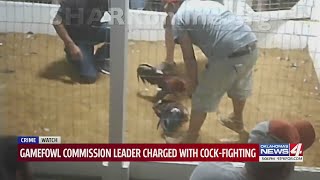 Gamefowl Commission leader charged with cock-fighting