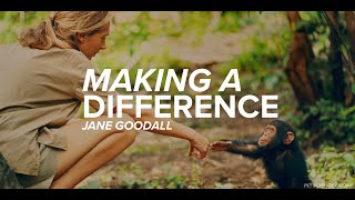 Making a Difference | Jane Goodall