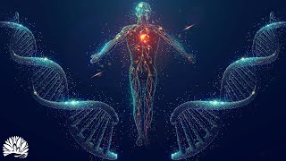 Full Body Healing Frequencies (528Hz) - Alpha Waves Massage The Whole Body, Regeneration Aging Cells