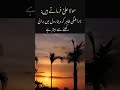 quotes about hazrat Ali #aqwal_e_zareen #hazrataliquotes #ytshorts